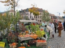 Apfelmarkt 2012_11