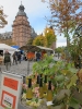 Apfelmarkt 2012_01