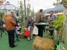 Apfelmarkt 2012_20
