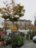Apfelmarkt 2012_04