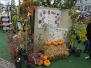 Apfelmarkt 2012_08