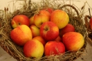 Apfelmarkt 2015_28