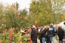 Apfelmarkt 2015_35
