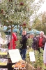 Apfelmarkt 2016 _33