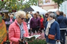 Apfelmarkt 2017 Aschaffenburg_14