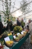 Apfelmarkt 2017 Aschaffenburg_32