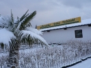 winterliche Impressionen_10