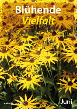 Blühende Vielfalt