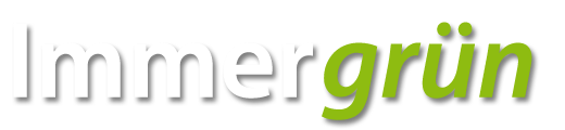 Immergrün