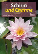 Juni 2011 - Schirm und Charme