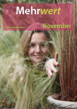 November 2011 - Mehrwert