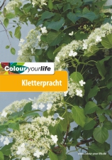 Colour your life Juni 2012