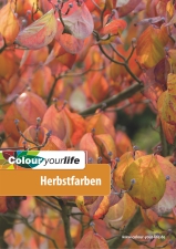 Oktober 2012 - Bunter Herbst