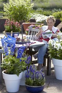 September 2012 - Blau machen