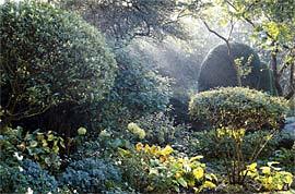 Zwischen Licht und Schatten