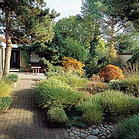 Die Zauberkraft des Herbstes