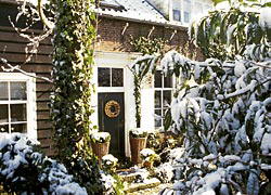 Der Garten im Winter