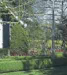 Grün liegt vorn - warum uns der Garten so wichtig ist