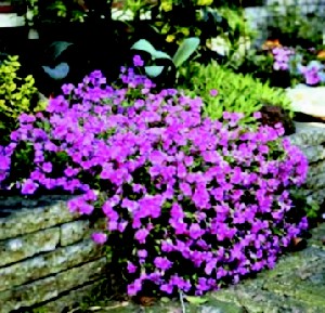 Alles so schön bunt hier