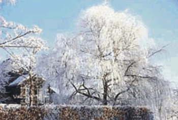 Gezuckertes Zauberreich