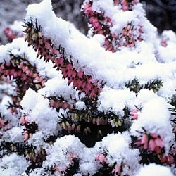 Keine Angst vor kalten Tagen