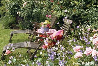 Rosen und Stauden: Eine Lebensgemeinschaft voller Charme