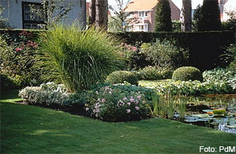 Der Herbst spielt mit Formen und Farben