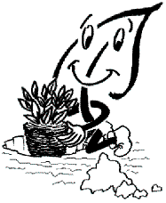 Pflanzanleitung für Stauden 1