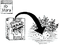 Pflanzanleitung für Stauden 7