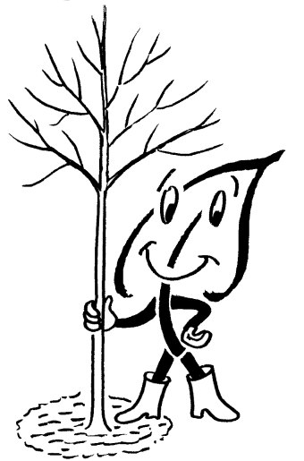 Qualtiätsbäume pflanzen