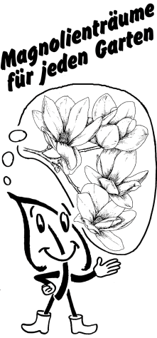 Magnolienträume