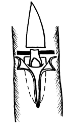 Rosen veredeln - Auge einsetzen