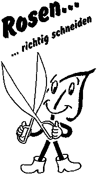 Rosenschnitt