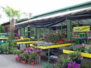 Hof - vorderer Bereich