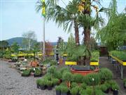 Hof - hinterer Bereich