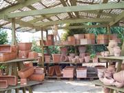 Mediterraner Bereich 2