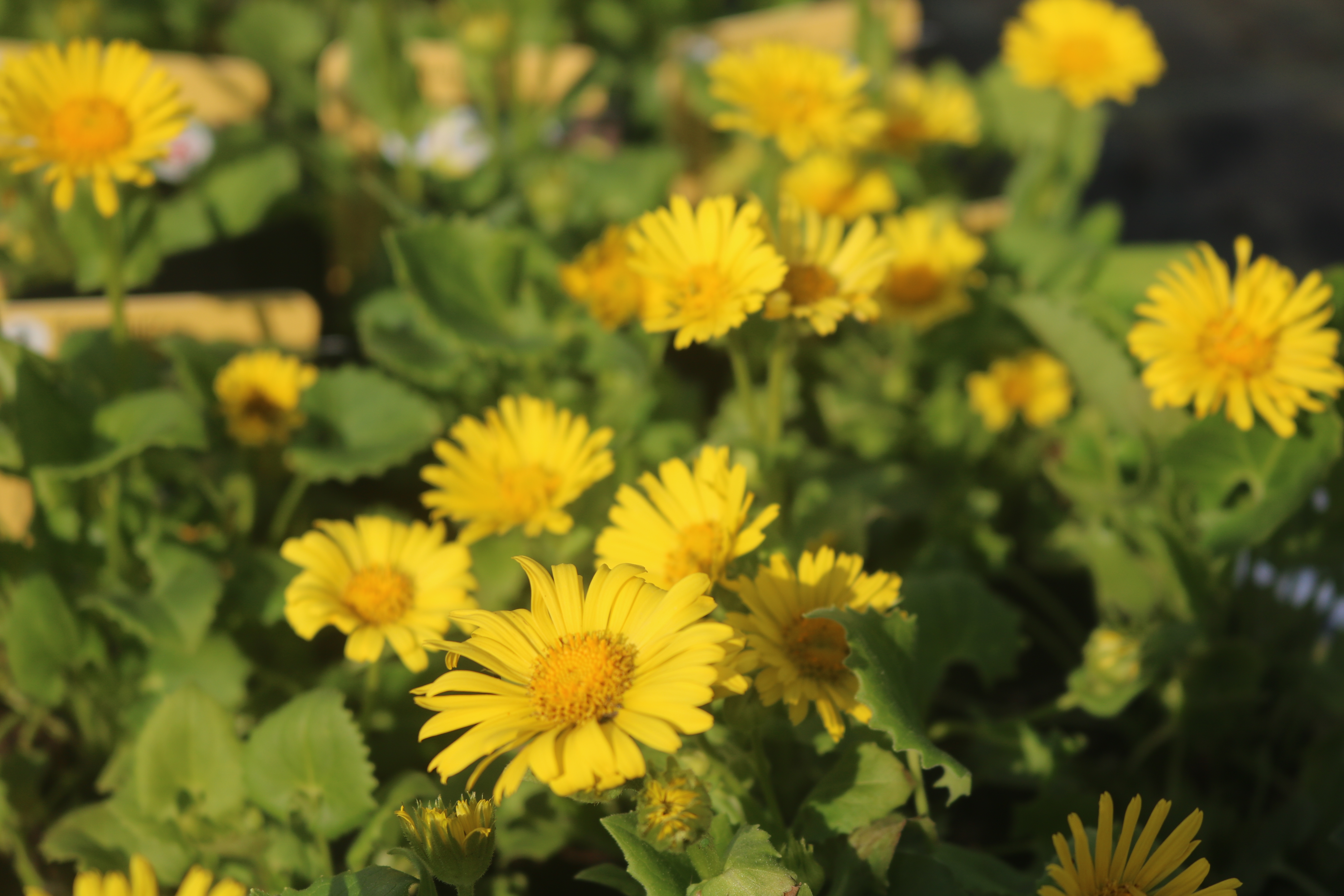 Keine Abbildung zugeordnet