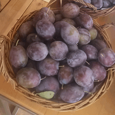 Prunus dom. 'Hanita'