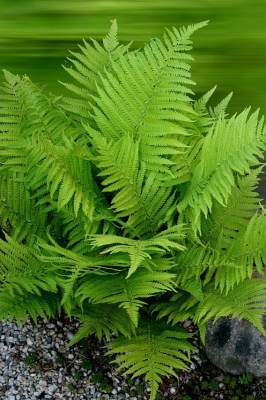 Keine Abbildung zugeordnet 