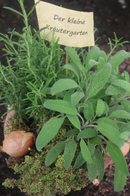 Keine Abbildung zugeordnet 