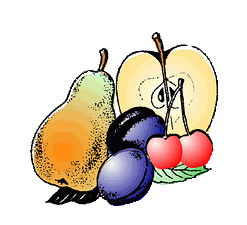 Obstgehölze in großer Auswahl